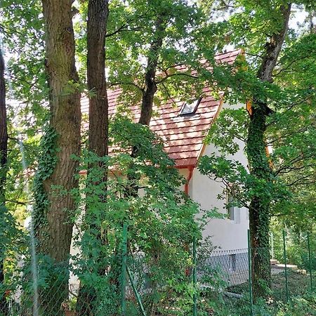 Villa Szepiheno Balatonszepezd Esterno foto