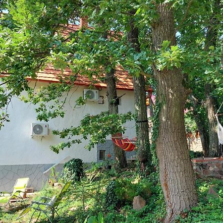 Villa Szepiheno Balatonszepezd Esterno foto
