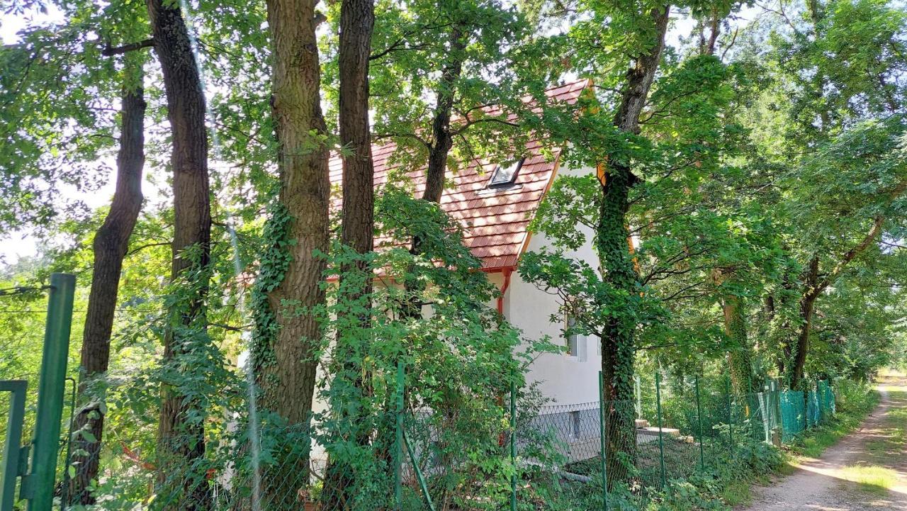 Villa Szepiheno Balatonszepezd Esterno foto